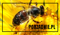 dobrze wykonane, eleganckie, porządnej jakośc, excelent , premium, super premium, luxury, good, extra premium